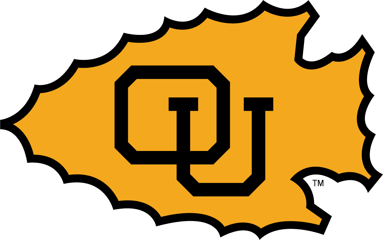 Ottawa University